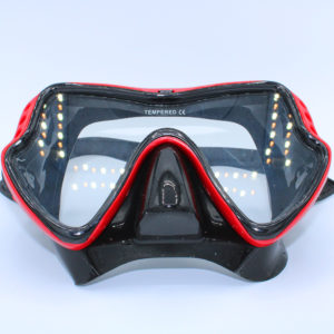 Snorkel Mask
